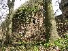 hb1004.jpg